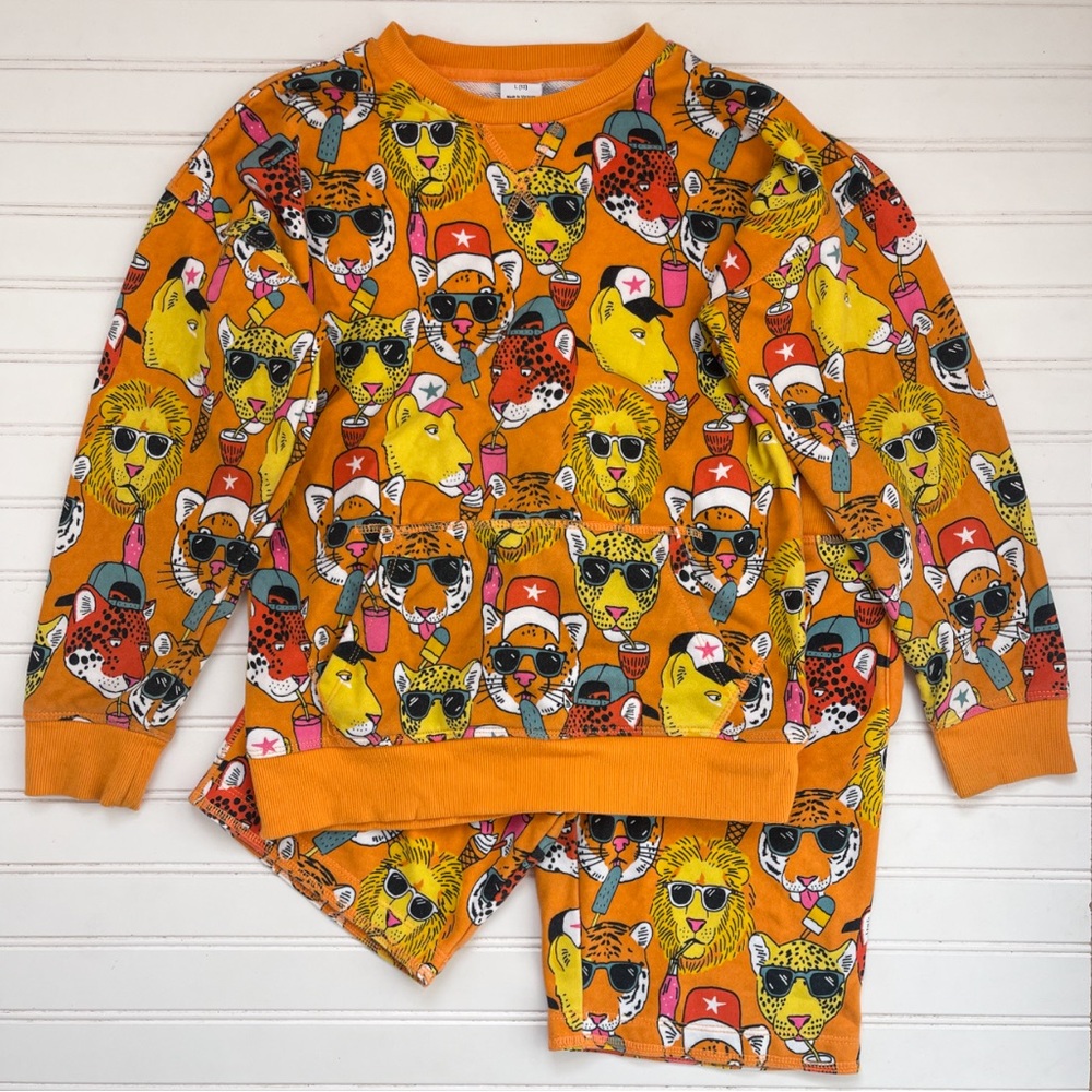 EUC Boys Vibrant Cool Cats w/ Sunglasses Sweatshirt & Sweat Shorts Comfy Set